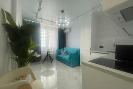 1-к. квартира, 43,7 м², 11/24 эт.